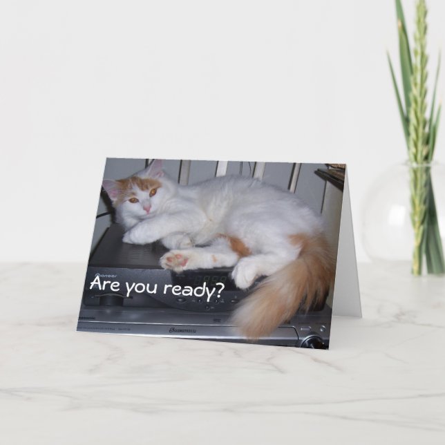 TARJETA TURKISH VAN ESTÁ LISTO PARA CELEBRAR TU CUMPLEAÑOS (Anverso)