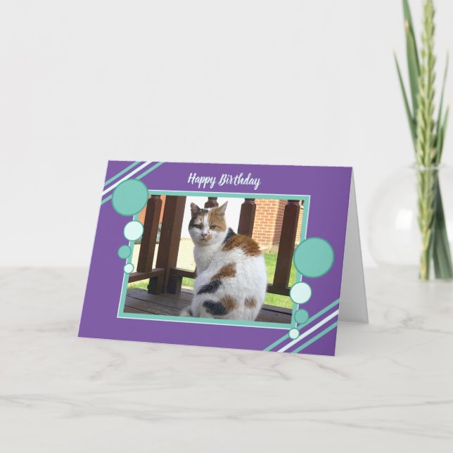 Tarjeta Turquesa de la púrpura de la foto del gato de (Anverso)