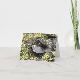 Tarjeta Turtle Friendship Greeting Card