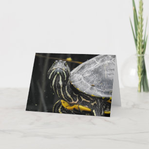 Tarjeta Turtle Notecard