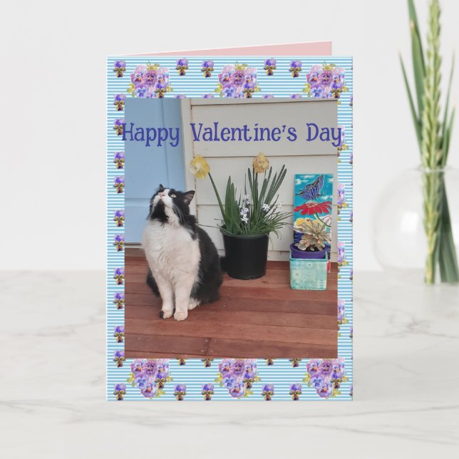 Tarjeta Tuxedo Cat Funny Cute Cats Valentines Day Blue (Anverso)
