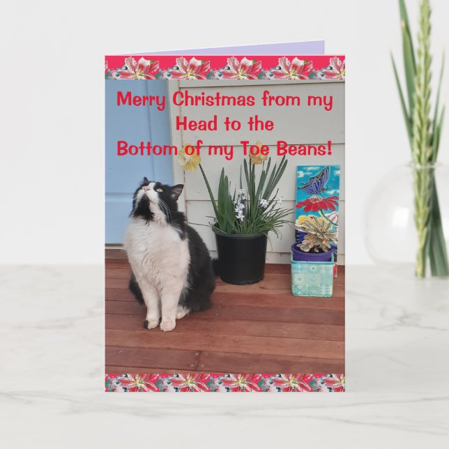 Tarjeta Tuxedo Cat Funny Merry Christmas Toe Bean Card (Anverso)