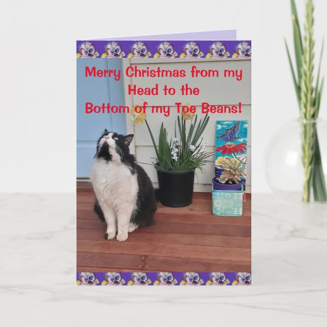 Tarjeta Tuxedo Cat Funny Merry Christmas Toe Bean Card (Anverso)