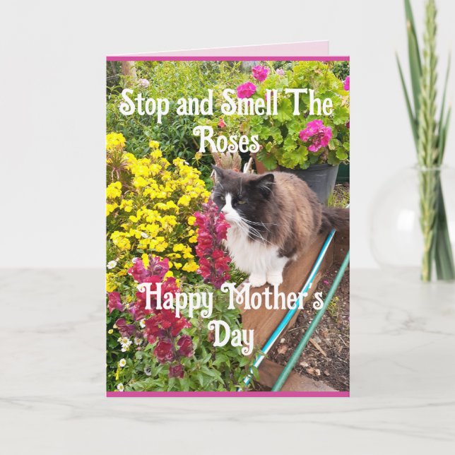 Tarjeta Tuxedo Cat Sniffing Flowers Funny Mothers Day Pink (Anverso)