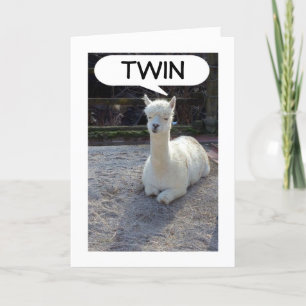TARJETA TWIN-LLAMA DICE QUE NADIE TIENE UN MEJOR GUSTO QUE