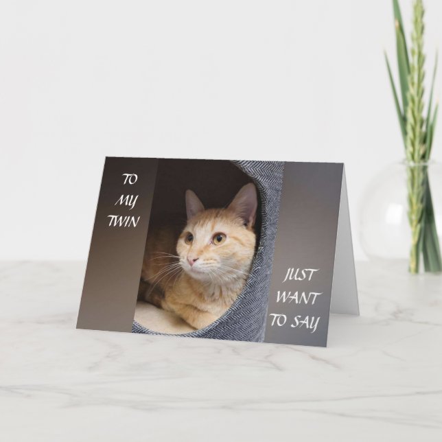 TARJETA *TWIN* MEOW DICE GATITO EL DÍA DE TU CUMPLEAÑOS (Anverso)