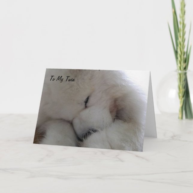 TARJETA TWIN, TE DESEO FELIZ CUMPLEAÑOS CON TODO MI CORAZÓ (Anverso)