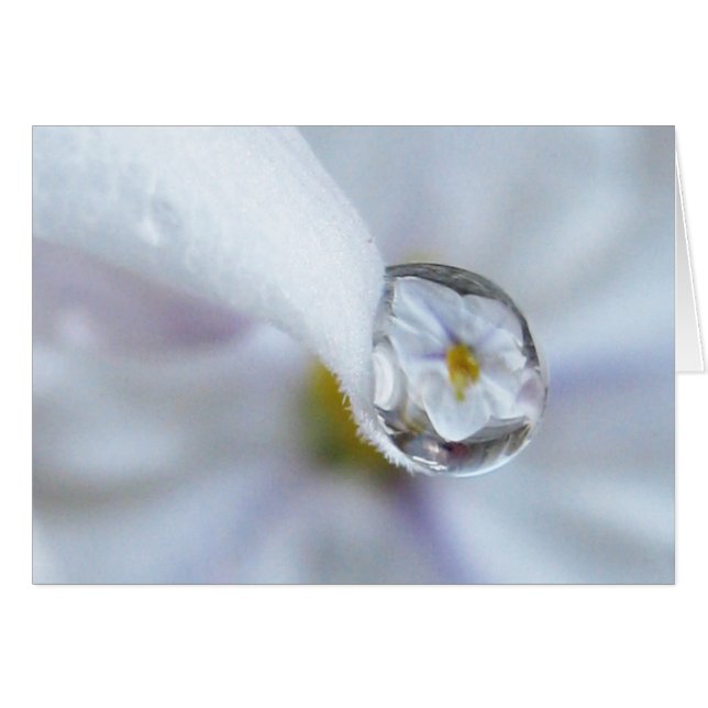 Tarjeta Twinkle Twinkle (Anverso (Horizontal))