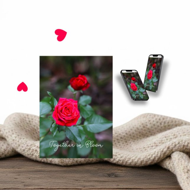 Tarjeta Two red roses for Valentine’s Day (Subido por el creador)