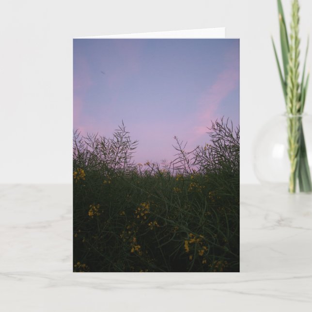 Tarjeta última hora de la tarde entre el follaje (Anverso)