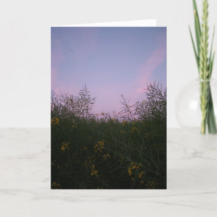 Tarjeta última hora de la tarde entre el follaje