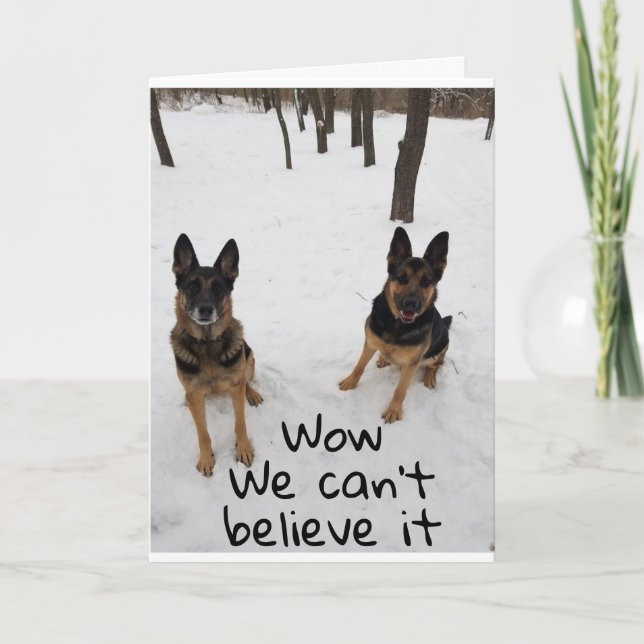 TARJETA UN AMIGO Y YO DECIMOS VETERINARIO "FELIZ CUMPLEAÑO (Anverso)