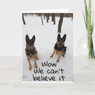 TARJETA UN AMIGO Y YO DECIMOS VETERINARIO "FELIZ CUMPLEAÑO