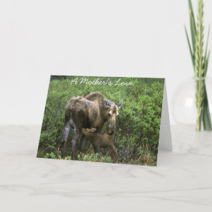 Tarjeta Un amor de madre