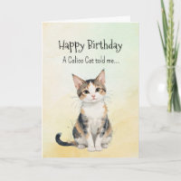 Un animal de cumpleaños de la personalidad del gat