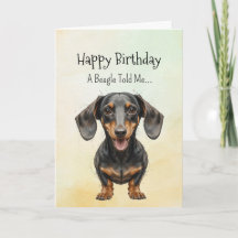 Un animal divertido de cumpleaños de la personalid