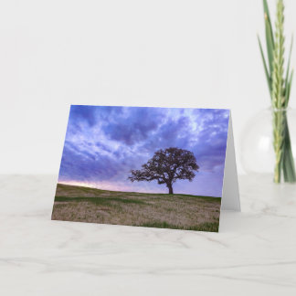 Tarjeta Un árbol solitario