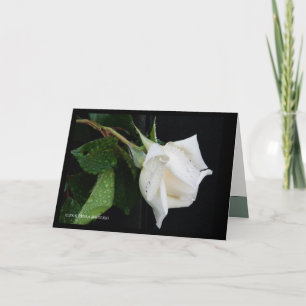 Tarjeta Un arco a la mañana