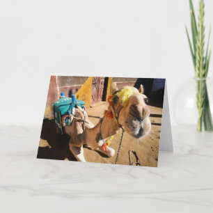 Tarjeta Un camello amistoso aguarda a su jinete siguiente,