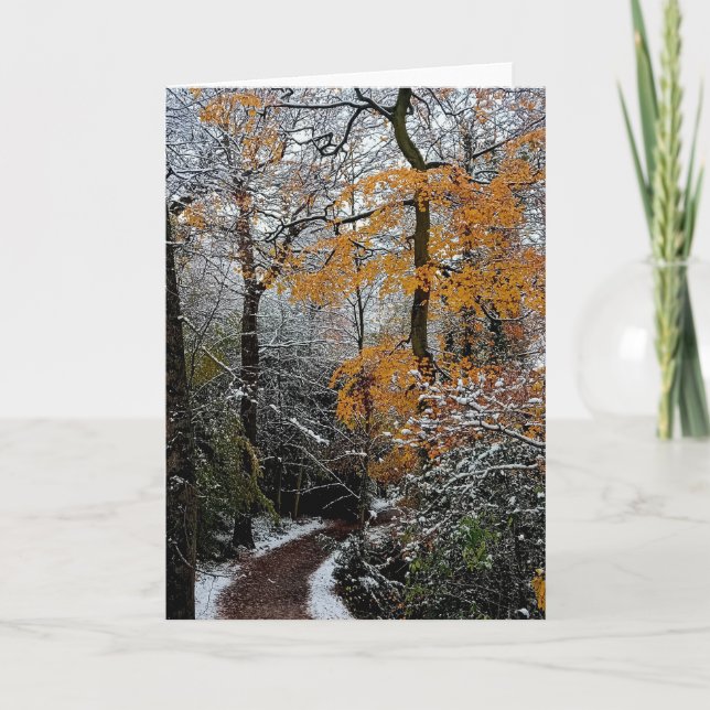 Tarjeta Un camino a través de los árboles (Anverso)