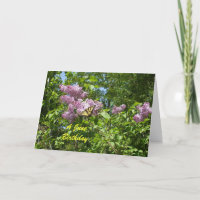 Un cumpleaños de junio