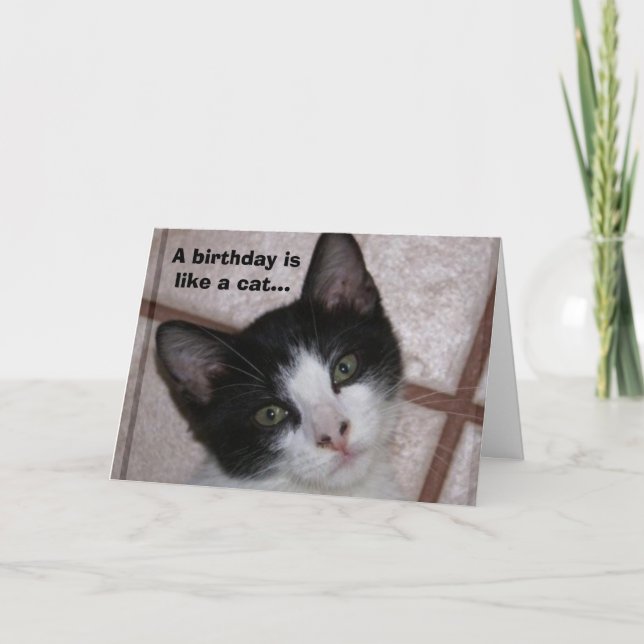 Tarjeta Un cumpleaños es como un gato... (Anverso)