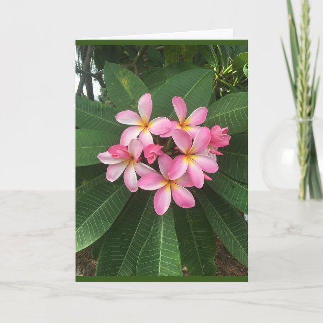 TARJETA UN *CUMPLEAÑOS ESPECIALES* PARA UNA *PERSONA ESPEC (Anverso)