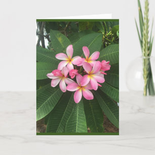 TARJETA UN *CUMPLEAÑOS ESPECIALES* PARA UNA *PERSONA ESPEC