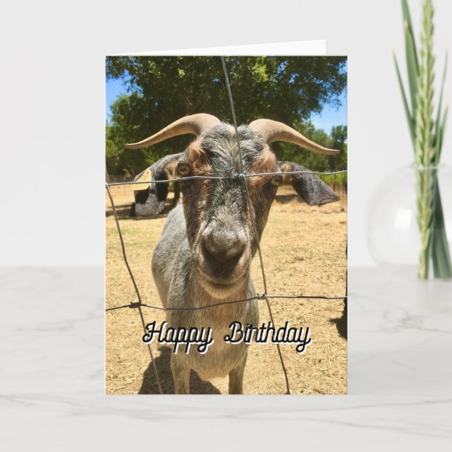Tarjeta Un deseo de cumpleaños para una cabra (Anverso)