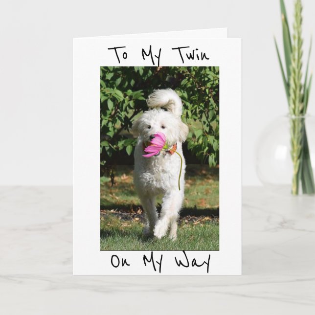 TARJETA UN DESEO DE FLORES Y CUMPLEAÑOS PARA MI ***TWIN*** (Anverso)