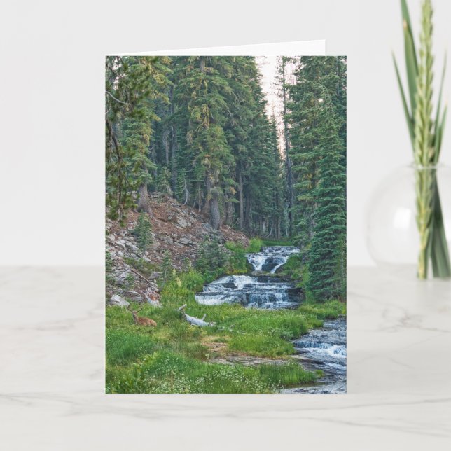 Tarjeta Un dólar descansa en un río en cascada (Anverso)