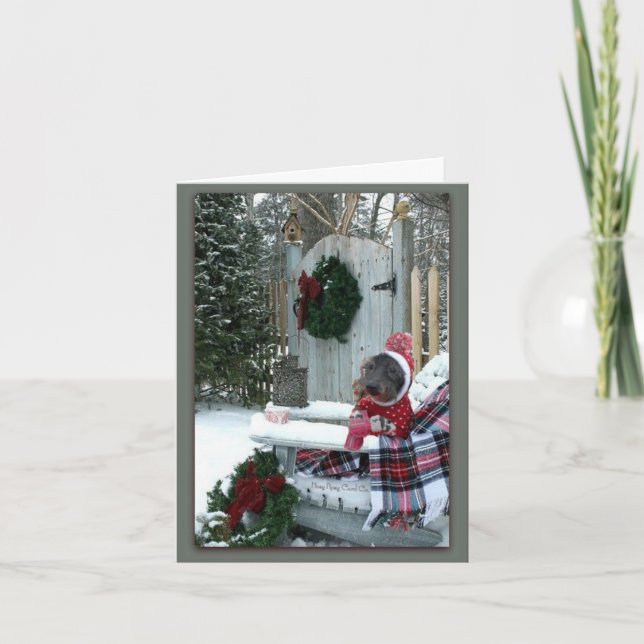 Tarjeta Un encantador día de invierno  (Anverso)