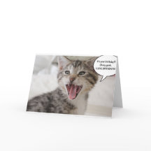 ¡Un gatito de cumpleaños súper sorprendido!