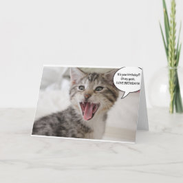 Tarjeta ¡Un gatito de cumpleaños súper sorprendido!