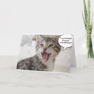 Tarjeta ¡Un gatito de cumpleaños súper sorprendido!