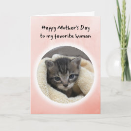 Tarjeta Un gatito lindo, eres mi Día favorito de la Madre 