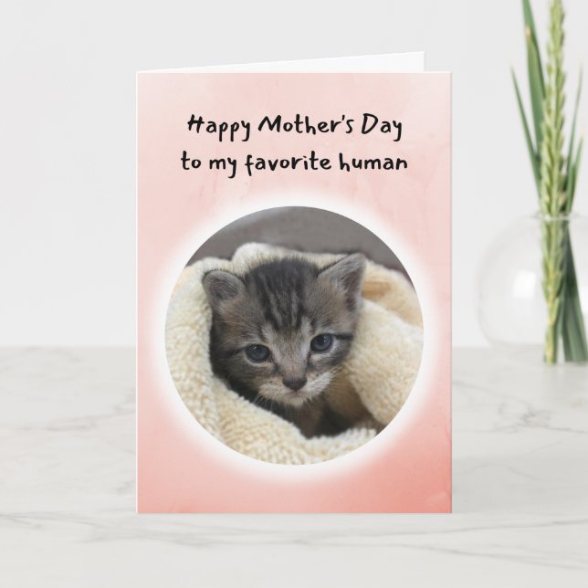 Tarjeta Un gatito lindo, eres mi Día favorito de la Madre  (Anverso)