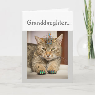 Tarjeta Un gato con aspecto de buena nieta un animal diver