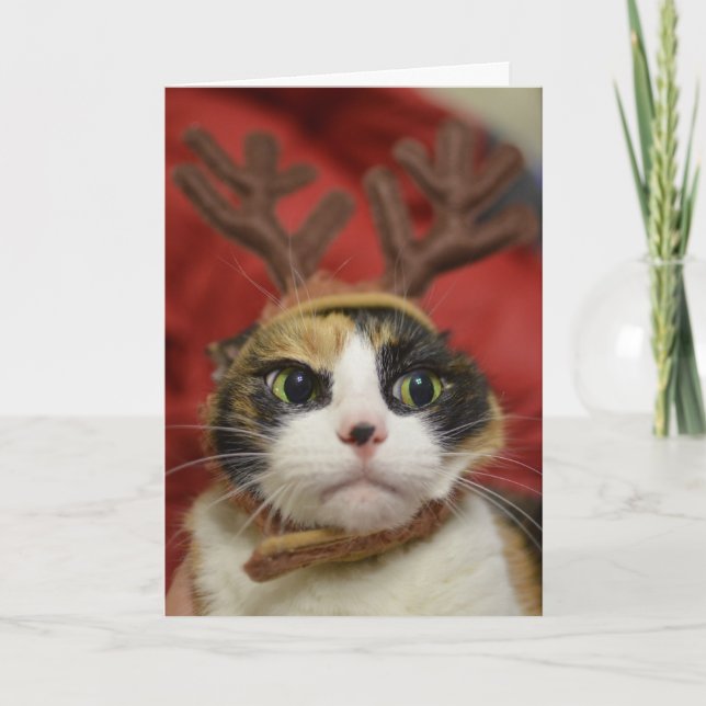 Tarjeta Un gato con cuernos de reno (Anverso)