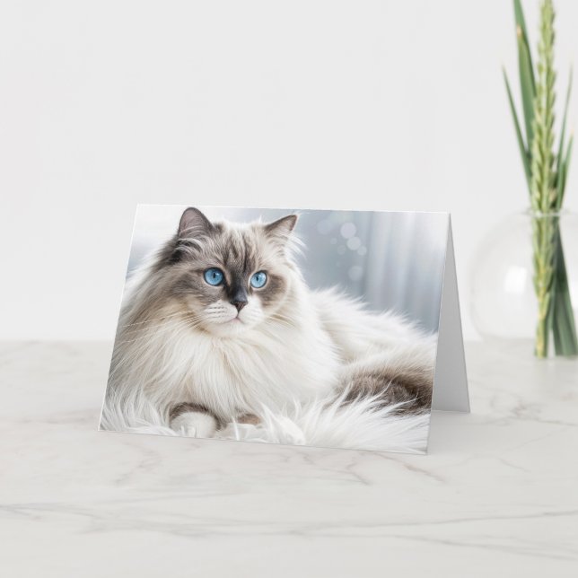Tarjeta Un gato de Ragdoll de cumpleaños en una alfombra d (Anverso)