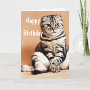 Tarjeta Un gato gracioso feliz cumpleaños