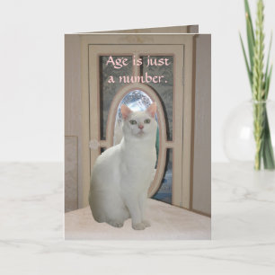 Tarjeta Un gato gracioso que mira en espejo
