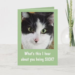 Tarjeta Un gato lindo se pone bien
