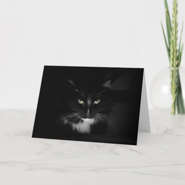 Tarjeta Un gato negro temeroso (Anverso)
