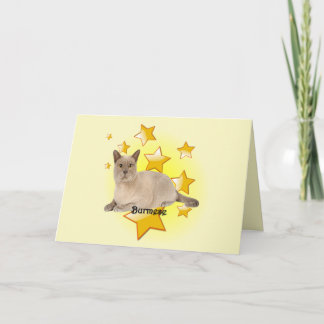 Tarjeta Un gato tan adorable de Birmania en las estrellas