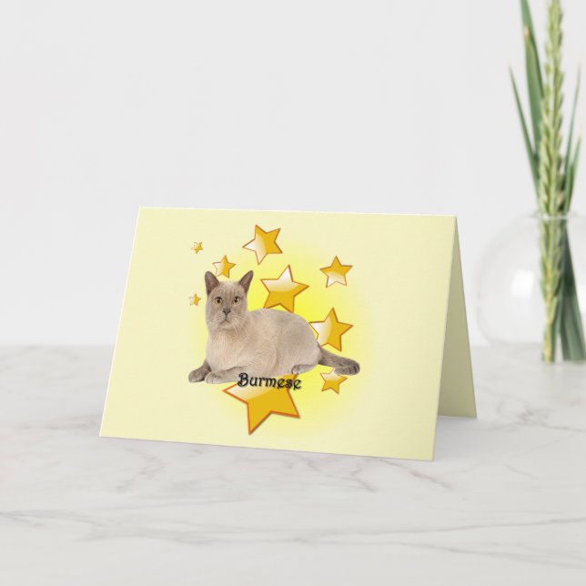 Tarjeta Un gato tan adorable de Birmania en las estrellas (Anverso)