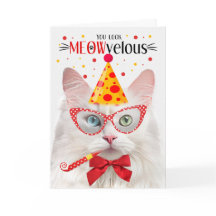 Un gato turco angora MEOWveloz cumpleaños