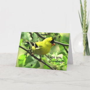 Tarjeta Un Goldfinch para la abuela el el día de madre