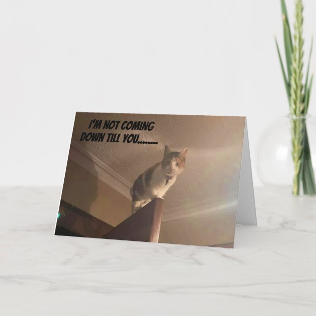 TARJETA UN GRAVE GATO DICE "FELIZ CUMPLEAÑOS" (Anverso)