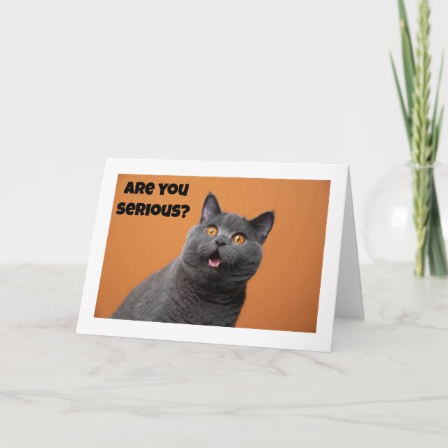TARJETA UN GRAVE GATO DICE "FELIZ CUMPLEAÑOS 60" (Anverso)